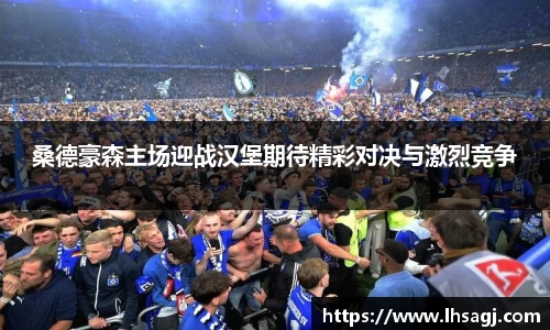 K1体育官方网站